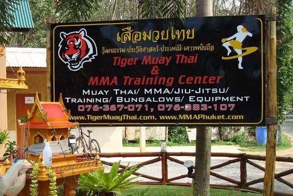 Tiger Muay Thai & MMA Training Camp