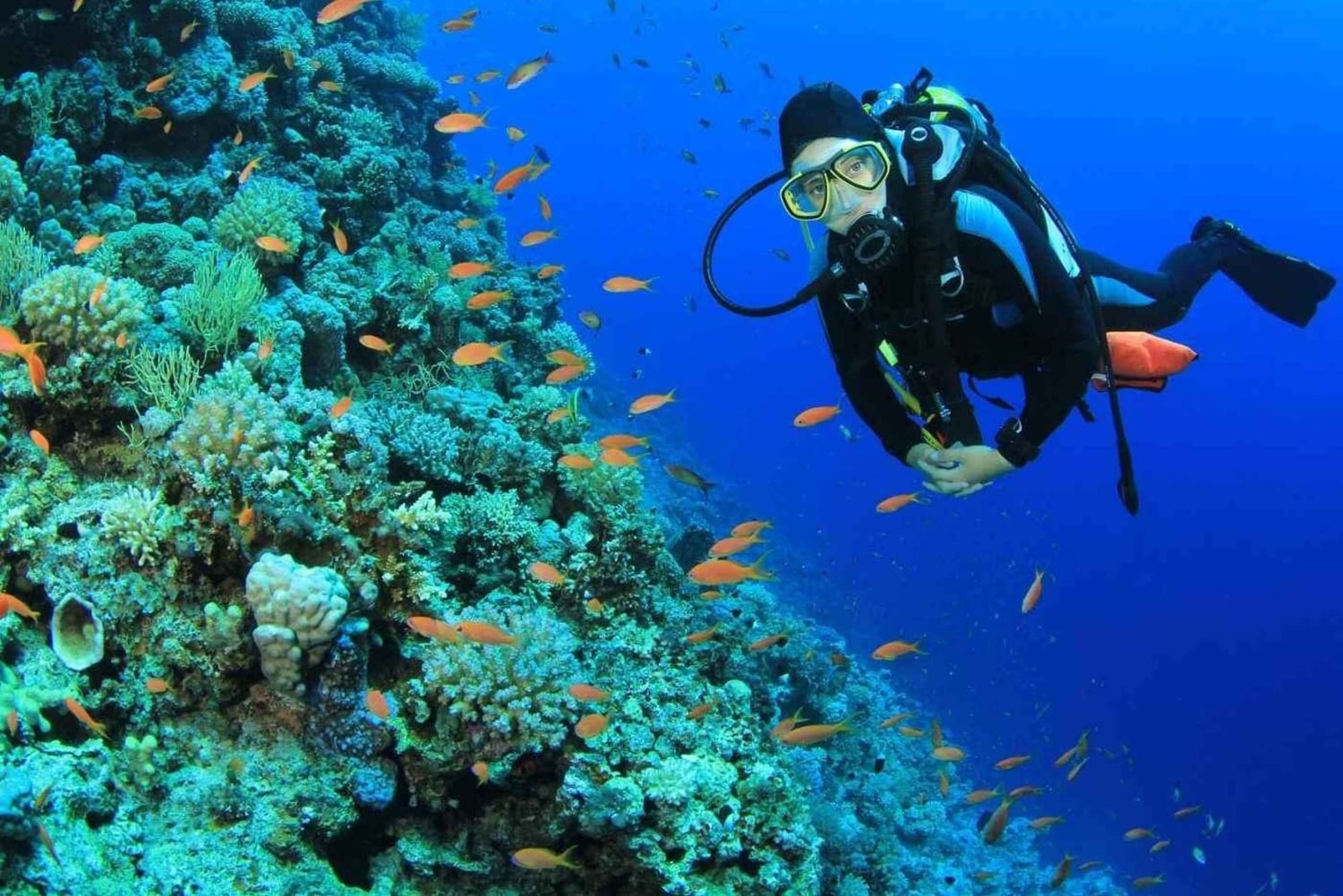 Try Scuba Diving in Racha Yai/noi: 2 Dives for Non-Certified