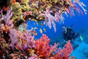 Try Scuba Diving in Racha Yai/noi: 2 Dives for Non-Certified