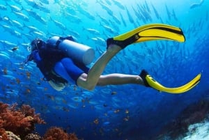 Try Scuba Diving in Racha Yai/noi: 2 Dives for Non-Certified