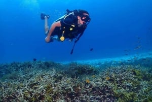 Try Scuba Diving in Racha Yai/noi: 2 Dives for Non-Certified