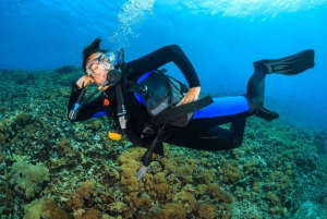 Try Scuba Diving in Racha Yai/noi: 3 Dives for Non-Certified
