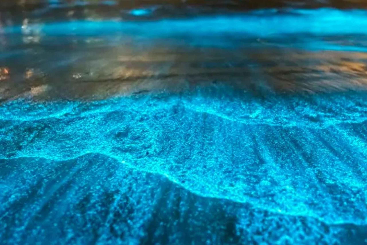 황혼의 바다 카누 팡아 베이와 바이오 발광