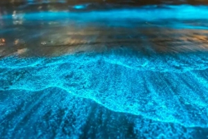 황혼의 바다 카누 팡아 베이와 바이오 발광