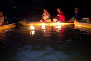 황혼의 바다 카누 팡아 베이와 바이오 발광