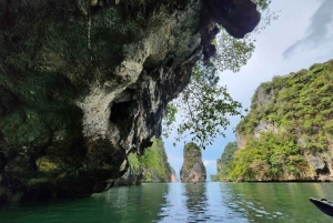 황혼의 바다 카누 팡아 베이와 바이오 발광
