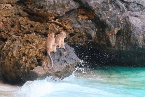 Phuket: Early Phi Phi Islands with Snorkeling & Buffet Lunch