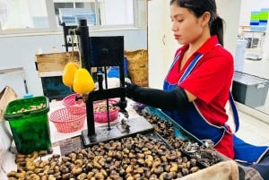 Phuket: ChillVa Market, näkymä Big Buddha, Wat Chalong ja vanhakaupunki