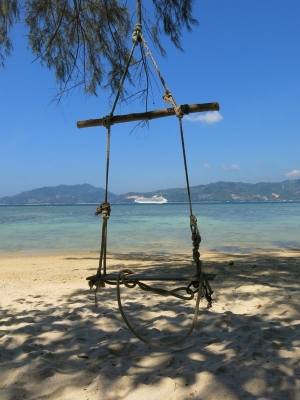 Beach swing
