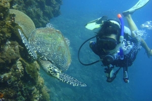 Scuba Diving in Phuket