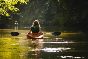 Best Seller Northern Phu Quoc & Kayak Aventure with lunch