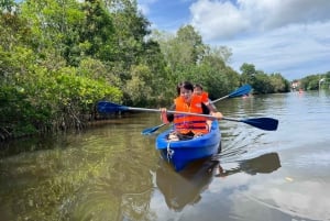 los más vendidos Aventura en el norte de Phu Quoc y Kayak con almuerzo