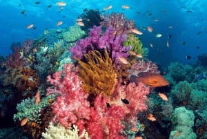 Best seller Phu Quoc Snorkeling Three Islands by Boat Tour