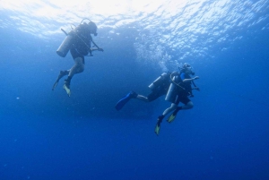 Exciting Fun Diving Adventures in Phu Quoc