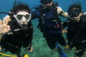 Spennende og morsomme dykkeeventyr i Phu Quoc