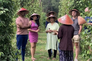 Phu Quocista: Puolen päivän eteläisen perinnön ja kulttuurin matkapäivä