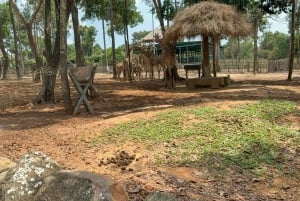 Parque temático Phu Quoc VinWonders y safari por la fauna salvaje