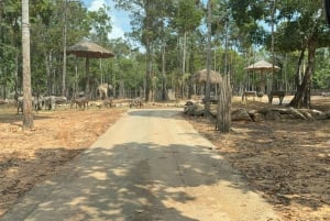 Parque temático Phu Quoc VinWonders y safari por la fauna salvaje