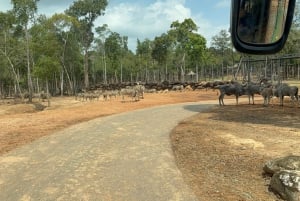 Parque temático Phu Quoc VinWonders y safari por la fauna salvaje