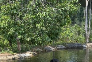 Parque temático Phu Quoc VinWonders y safari por la fauna salvaje