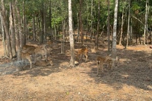 Parque temático Phu Quoc VinWonders y safari por la fauna salvaje
