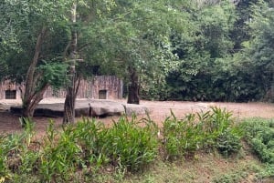 Parque temático Phu Quoc VinWonders y safari por la fauna salvaje