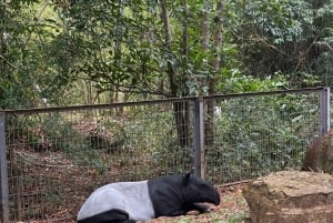 Parque temático Phu Quoc VinWonders y safari por la fauna salvaje