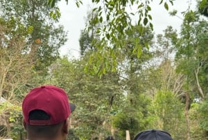 Parque temático Phu Quoc VinWonders y safari por la fauna salvaje