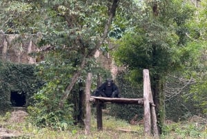 Parque temático Phu Quoc VinWonders y safari por la fauna salvaje