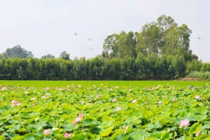 From Phu Quoc: Mekong Delta Floating Market 3 Day exit HCM