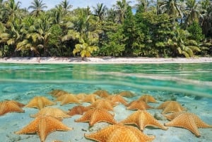 Depuis Phu Quoc : aventure d'une journée dans le nord de Phu Quoc