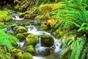 Depuis Phu Quoc : aventure d'une journée dans le nord de Phu Quoc