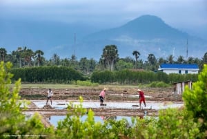 Kampot: Salt Fields, Pepper Farm, and Secret Lake Tour