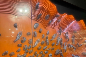 Phu Quoc: snorkeltour langs 3 eilanden met optioneel zeewandelen