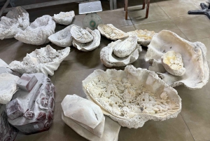 Phu Quoc: snorkeltour langs 3 eilanden met optioneel zeewandelen