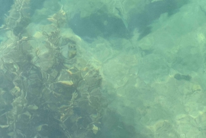 Phu Quoc: snorkeltour langs 3 eilanden met optioneel zeewandelen