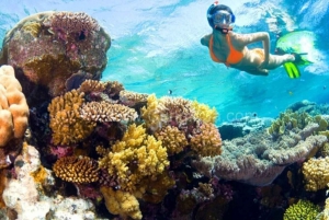 Phu Quoc: Wycieczka na 3 wyspy Snorkeling łodzią motorową