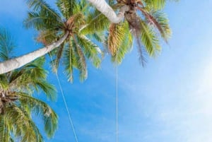 PhuQuoc 4 Islands, Thơm Island with Cable Car