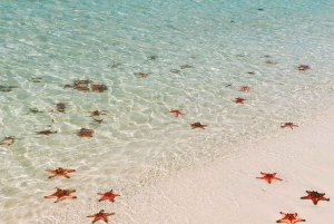 Phu Quoc: 5-Day All-Inclusive Private Tour w/ Guide & Meals