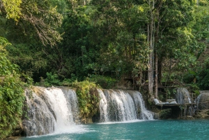Phu Quoc: 5-dagars rundtur till öns främsta höjdpunkter med transfer