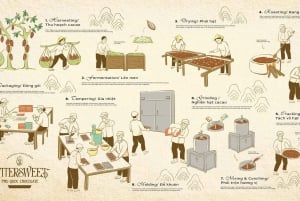 Phu Quoc: Wycieczka i warsztaty w fabryce gorzkiej czekolady