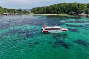 Phu Quoc Cable Car, Snorkeling, Buffet Small Group Tour