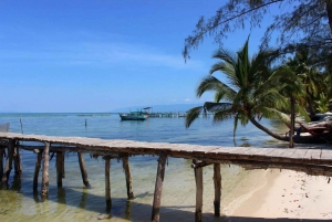 PHU QUOC LOCATION DE VOITURES - 12 PLACES