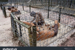 Phu Quoc: Classic South & North Island Full-Day Private Tour