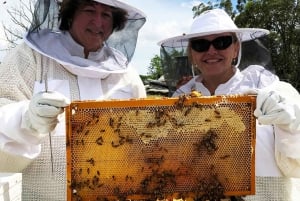 Phu Quoc: Customizable North or South Island Tour