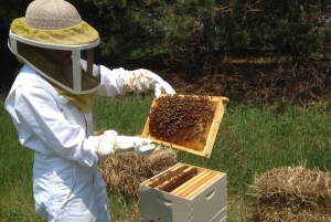 Phu Quoc: Customizable North or South Island Tour