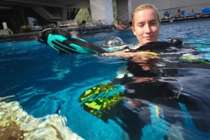 Фукуок: дайвинг с аквалангом и дыхательные упражнения