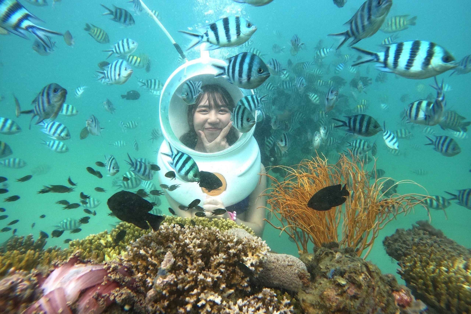 フーコック島：3つの島を探索＆シーウォーカーオーシャン探索コンボ