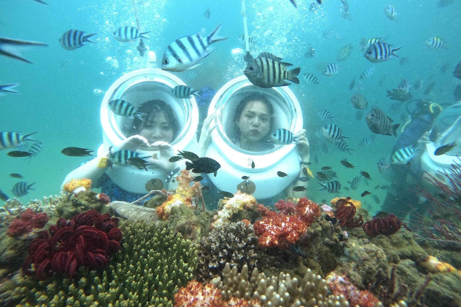 フーコック島：3つの島を探索＆シーウォーカーオーシャン探索コンボ