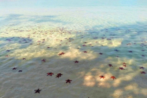 Phú Quốc: ristorante galleggiante e Starfish Beach